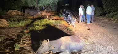 బోయిన్పల్లి: కోరెం గ్రామంలో గేదెను ఢీకొన్న ద్విచక్ర వాహనం ఇరువురికి తీవ్ర గాయాలు ఒకరి పరిస్థితి విషమం