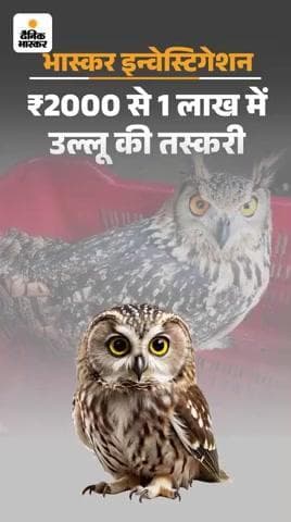 शोहरतगढ़: https://dainik.bhaskar.com/iPSJjmcMlXb