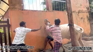 इस नंदी महाराज के पैर में बहुत ज्यादा कीड़े पैड गये 😔…!
Respect Girls help poor help animals
#apsgurjar #gwalior