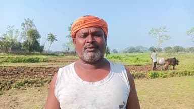 चलकुशा: चलकुसा में लगातार बारिश से धान की फसल बर्बाद, किसान ने बताई अपनी परेशानी