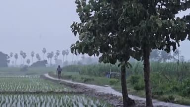 திருவெண்ணைநல்லூர்: திருவெண்ணெய்நல்லூர் சுற்றுவட்டார பகுதியில் பலத்த கனமழை