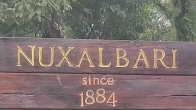 নকশালবাড়ি: নকশালবাড়িতে বাগানে কাজে যাবার পথে পথ দুর্ঘটনা! জখম ২৫-৩০ জন চা শ্রমিক..