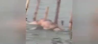 ଏରସମା: ଏରସମା ବ୍ଲକ କୁଞ୍ଜକୋଠି ପଞ୍ଚାୟତ ଖୁରାଣ୍ଟ ନିକଟରେ ଥିବା ଜଟାଧାରୀ ନଦୀ ରେ ଭାସୁଛି ଅଜଣା ମୃତଦେହ