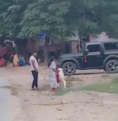 उन्नाव: सदर कोतवाली क्षेत्र के लोकनगर में कुत्ते को लात मारते एक व्यक्ति का वीडियो हुआ वायरल, पुलिस जांच में जुटी