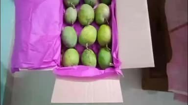 मालवण: मालवण येथील शेतकऱ्याने देवगड हापूस आंब्याची पहिली दोन डझनाची आंब्याची पेटी सातारा बाजारपेठेत केली रवाना