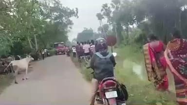 ତିର୍ତ୍ତୋଲ: ଜଗତସିଂହପୁର ଜିଲ୍ଲା କନକପୁର ଗ୍ରାମ ପିପଲ ମାଧବ ନାଳରେ ଅଚିନ୍ନା ବୃଦ୍ଧା ଙ୍କ ଗଳିତ ମୂର୍ତ ଦେହ ଉଦ୍ଧାର