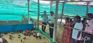 అశ్వారావుపేట: సమీకృత వ్యవసాయ పద్ధతుల ద్వారా రైతుల ఆర్థిక అభివృద్ధి సాధ్యమవుతుందని జిల్లా కలెక్టర్ జితేష్ వి పార్టీలు సూచన