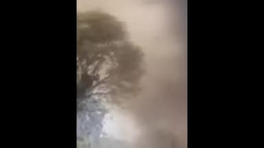 डबवाली: गांव लोहगढ़ में जोहड़ किनारे झाड़ियों में पटाखे की चिंगारी से लगी आग, ग्रामीणों ने तत्परता से पाया काबू