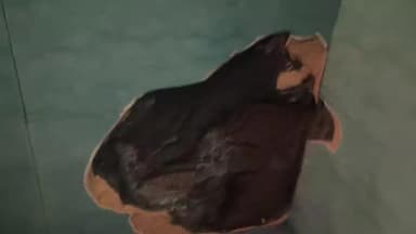 दोडामार्ग: विजेचा लोळ घरात घुसल्याने मणेरी येथे मोठे नुकसान