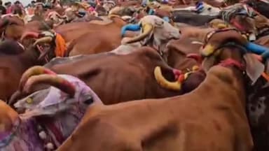 हनुमानगढ़: जिला मुख्यालय पर दीपोत्सव के चौथे दिन घरों में गोवर्धन पूजा की गई, बीते दिन देर रात तक आतिशबाजियों से जगमगाया आसमान