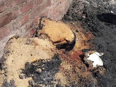 टेढ़ागाछ: टेढ़ागाछ प्रखंड मुख्यालय स्थित मध्य विद्यालय के पीछे मुढ़ी मिल में भीषण आग, लाखों की संपत्ति राख