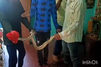 బొబ్బిలి: బొబ్బిలిలో ఇంట్లో కి చొరబడిన12 అడుగుల నాగు  పాము చాకచక్యంగా పట్టుకున్న స్థానికులు బయటికి తరలింపు