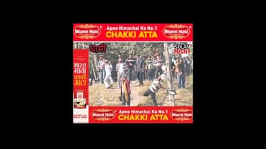 धामी में शुरू हुआ पत्थर का खेल, लोग एकदूसरे पर बरसा रहे पत्थर #shimla #stone #play #devta #देवता