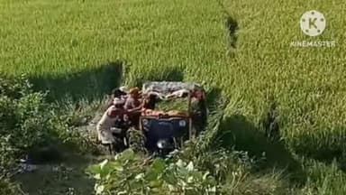 नरपतगंज: पुलहा के समीप अनियंत्रित ऑटो पलटी, आधा दर्जन यात्री हुए चोटिल