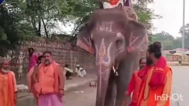 उज्जैन शहर: महाकाल की सवारी के हाथी श्यामू को डॉक्टरों ने बताया अनफिट, शहरवासियों ने किया विरोध