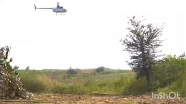 रामपुरा: शाजापुर में दक्षिण अफ्रीकी टीम की मदद से 45 काले हिरणों का सफल रेस्क्यू, गांधी सागर अभयारण्य में छोड़े गए