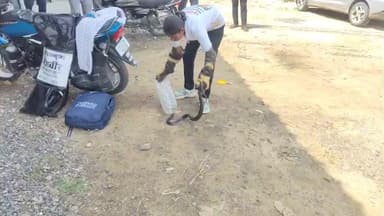 📞 7️⃣ 3️⃣ 5️⃣ 7️⃣ 5️⃣ 7️⃣ 0️⃣ 7️⃣ 0️⃣ 7️⃣
💃🏻 दिव्या जैन 🐍 सांप पकड़ने वाली पाली
🚨 नए हेल्पलाइन 🚨