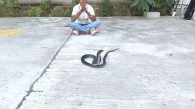 📞 7️⃣ 3️⃣ 5️⃣ 7️⃣ 5️⃣ 7️⃣ 0️⃣ 7️⃣ 0️⃣ 7️⃣
💃🏻 दिव्या जैन 🐍 सांप पकड़ने वाली पाली
🚨 नए हेल्पलाइन 🚨