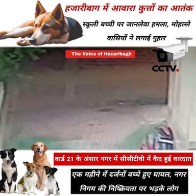हजारीबाग में आवारा कुत्तों का आतंक : स्कूली बच्ची पर जानलेवा हमला, मोहल्लेवासियों ने लगाई गुहार
#HazaribaghNews