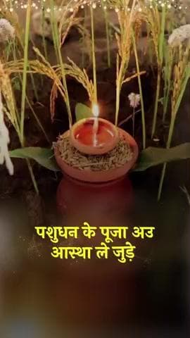 पशुधन के पूजा अउ आस्था ले जुड़े लोक परब गोवर्धन पूजा के जम्मो झन ला गाड़ा-गाड़ा बधई अउ सुभकामना।