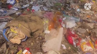 दमोह: दमोह में बड़ापुल के पास सड़क पर गंदगी का अंबार, सोशल मीडिया पर तस्वीरें वायरल