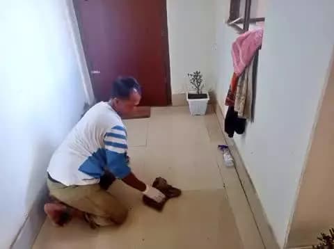 Cleanliness drive at PIB Imphal under #SwachhataHiSeva, #SpecialCampaign5.0. Keeping the office neat and tidy! 🧹
#SwachhataHiSeva2025 #Swachhotsav #SHS2025