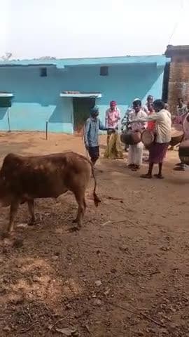 Bedia samaj ka sahoray geet