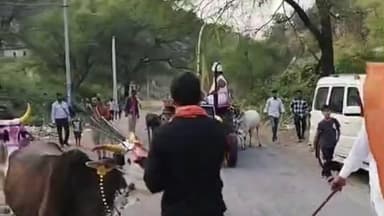 देलवाड़ा: कैलाशपुरी की नाल में धूमधाम से मनाया गया गोवर्धन पूजा एवं खेखरा महोत्सव, गोवर्धन पूजा पर गौ माता को लुटाया गया खेखरा