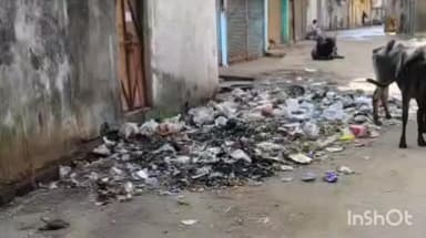 कटनी नगर: कटनी नगर निगम क्षेत्र के कई इलाकों में फैली गंदगी, सफाई अभियान की खुली पोल