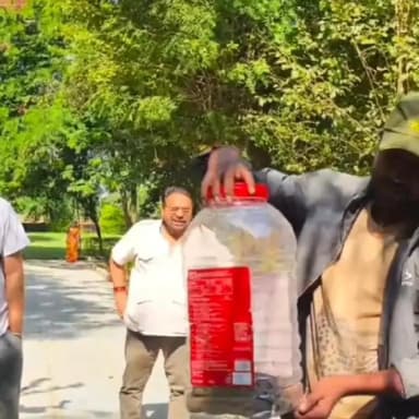 मालाखेड़ा: मालाखेड़ा के भृतहरि तिराये के पास एक मकान में 6 फीट लंबा सांप मिलने से मचा हड़कंप, वन विभाग ने किया रेस्क्यू