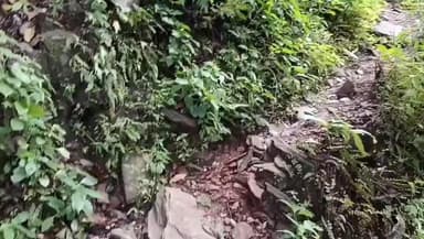 दंतेवाड़ा: डुम्मिर फलनार की मूलभूत सुविधाओं के लिए प्रवेश जोशी ने पीएमओ में लिखा पत्र