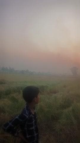 खेतों में लगाई गई आग आज एक साथ बहुत सारे जमीन मे #pollution #news #viral #city #cm #pm