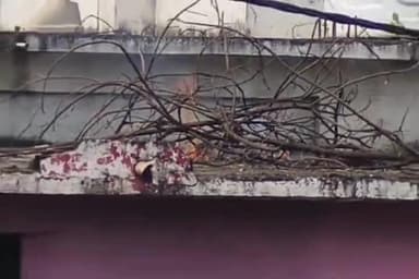 बड़वानी: ग्राम पंचायत तलवाड़ा बुजुर्ग में गोवर्धन पर्व मनाया गया, छत पर लगी आग पर ग्रामीणों ने काबू पाया