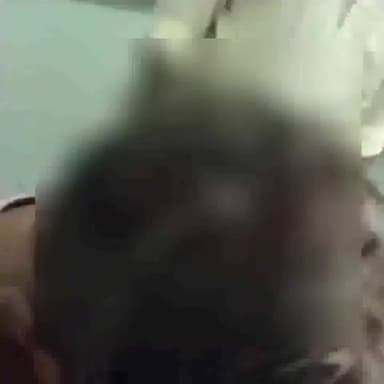 निवाड़ी: करगुवा के डाबर जंगल में दो पक्षों के विवाद में, पुलिस ने अवधेश सहित पांच पर मामला दर्ज किया