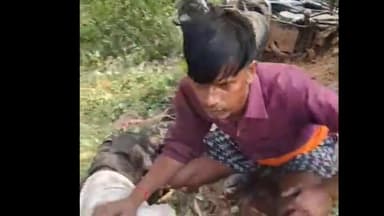 अमरिया: थाना जहानाबाद क्षेत्र में तेज़ रफ़्तार ट्रैक्टर ट्राली ने बाइक सवार को रौंदा, बाइक सवार गंभीर रूप से घायल