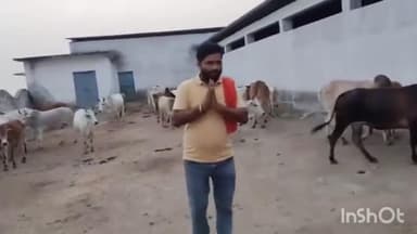 सिहावल: शिव सैनिकों ने नौढीया गौशाला का भ्रमण किया, आवश्यक निर्देश दिए