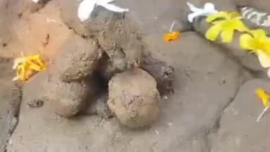 खिरकिया: खिरकिया में गोवर्धन पूजन पर्व धूमधाम से मनाया गया, महिलाओं ने गोबर के पर्वत बनाकर सुख-समृद्धि की कामना की