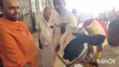 ಹೊಸನಗರ: ಗೋಪೂಜೆ ಭಾರತೀಯ ಧರ್ಮಪರಂಪರೆಯ ಮಹತ್ವವನ್ನು ಸಾರುತ್ತವೆ, ಹೊಂಬುಜದಲ್ಲಿ ಡಾ. ದೇವೇಂದ್ರಕೀರ್ತಿ ಭಟ್ಟಾರಕ