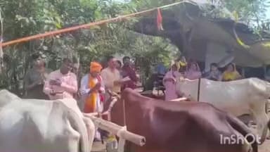 हेरहंज: हेरहंज, बालूमाथ और बारियातू प्रखंड क्षेत्र में गोवर्धन पूजा धूमधाम से मनाई गई, गौ सेवा का लिया गया निर्णय