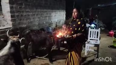 नाला: नाला प्रखंड क्षेत्र में गोवर्धन पूजा पर गौ माता की पारंपरिक रूप से पूजा-अर्चना की गई