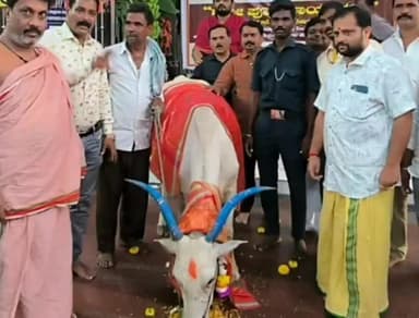 ಕಲಬುರಗಿ: ದೇವಲಗಾಣಗಾಪುರದಲ್ಲಿ ಗೋವಿಗೆ ವಿಶೇಷ ಪೂಜೆ