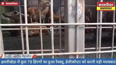 9165163543 kalapipal mandi
BhanyaKhedi ,emlikheda