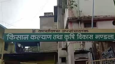 मंडला: जिले में कोदो-कुटकी के उपार्जन के लिए 30 पंजीयन केंद्र निर्धारित: उप संचालक कृषि अश्विनी झारिया