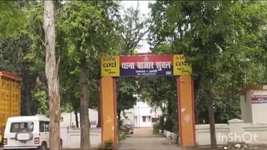 मुसाफिरखाना: शुकुल बाजार में सर्पदंश से महिला की मौत, गांव में छाया मातम