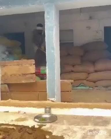 कोलारस: अनंतपुर में नागिन की तलाश में किसान के घर बार-बार आ रहा था नाग, सपेरे ने घर में तलाशा तो निकला नाग-नागिन का जोड़ा