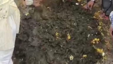 लालबर्रा: लालबर्रा तहसील सहित पूरे जिले में गोवारी समाज ने श्रद्धा व उत्साह के साथ निभाई वर्षों पुरानी परंपरा