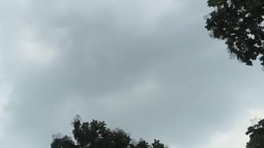 लालबर्रा: मौसम विभाग का अलर्ट: 23 से 27 अक्टूबर तक बालाघाट जिले के लालबर्रा में वर्षा और आंधी-तूफान की संभावना