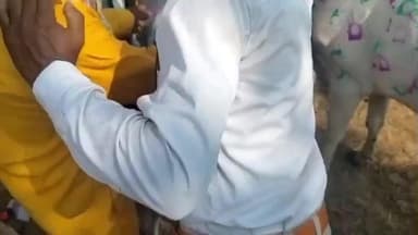 कटंगी: मन्नत पूरी करने गायों के नीचे लेटे लोग: कटंगी विकासखंड में अनूठा गाय गोहरी पर्व मनाया गया