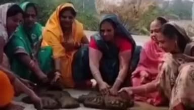 आगर: आगर मालवा में पारंपरिक श्रद्धा के साथ गोवर्धन पूजा मनाई गई