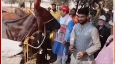 सिंगोली: नीमच कलेक्टर हिमांशु चंद्रा ने की गोवर्धन पूजा, ज़िले के नागरिकों को दी बधाई